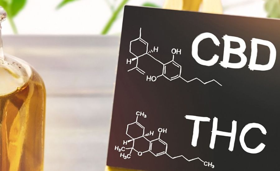 Quelles sont les différences entre le CBD et le THC ?